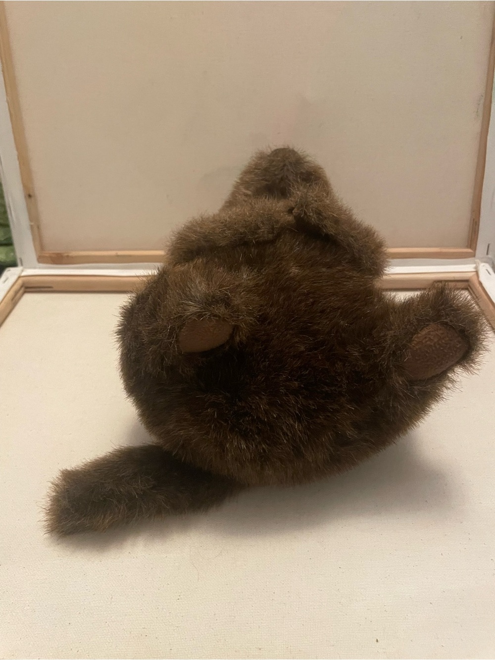 Chuckwood The Woodchuck Retired Douglas Plush stuffed animal brown realistic - Picture 3 of 6